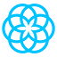 Salsify logo